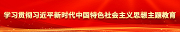 操我啊啊啊啊视频学习贯彻习近平新时代中国特色社会主义思想主题教育